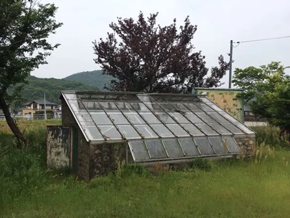 マスカット・オブ・アレキサンドリアの歴史的な写真